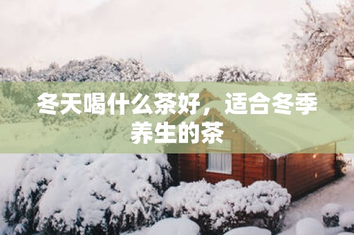 冬天喝什么茶好，适合冬季养生的茶