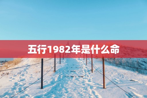 五行1982年是什么命