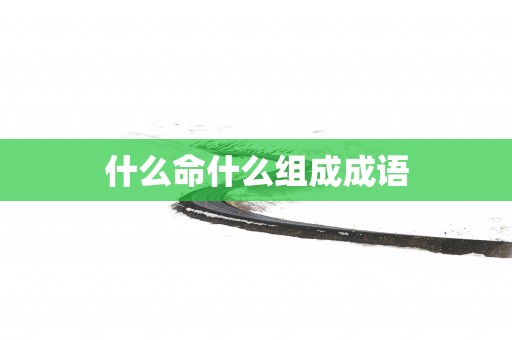 什么命什么组成成语
