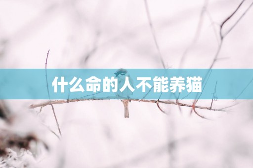 什么命的人不能养猫