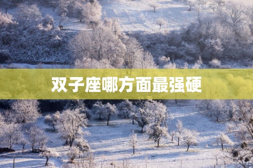 双子座哪方面最强硬