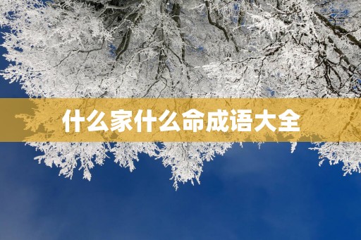 什么家什么命成语大全