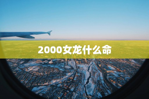 2000女龙什么命