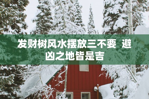 发财树风水摆放三不要  避凶之地皆是吉
