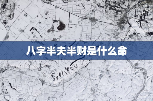 八字半夫半财是什么命