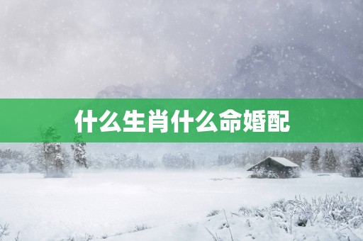 什么生肖什么命婚配