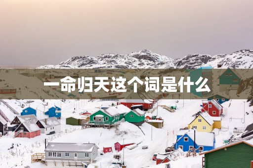 一命归天这个词是什么