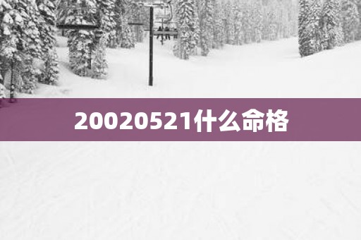 20020521什么命格