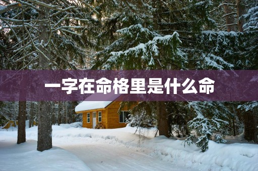 一字在命格里是什么命