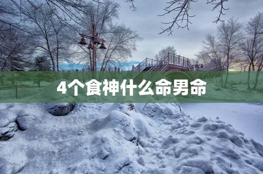 4个食神什么命男命