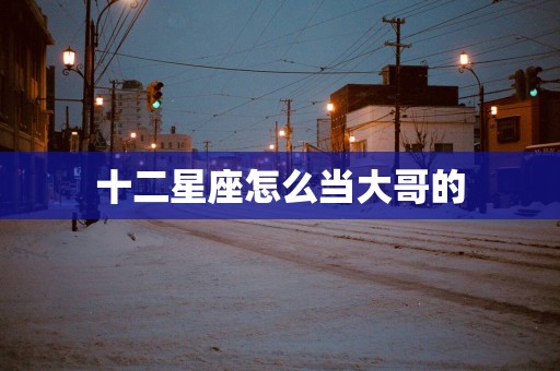 十二星座怎么当大哥的