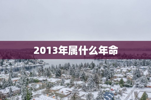 2013年属什么年命