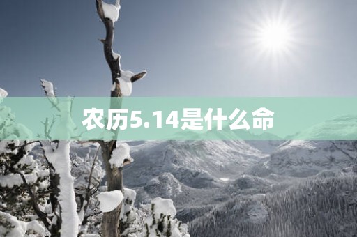 农历5.14是什么命