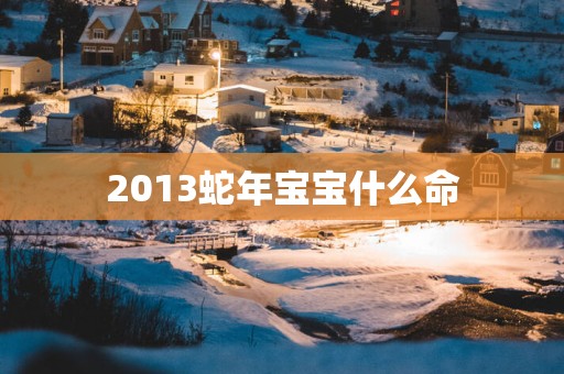 2013蛇年宝宝什么命