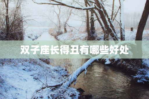 双子座长得丑有哪些好处