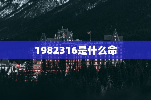 1982316是什么命