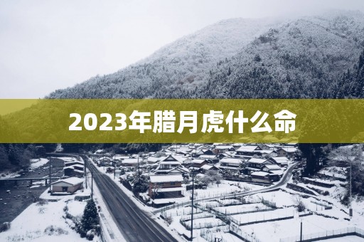 2025年腊月虎什么命