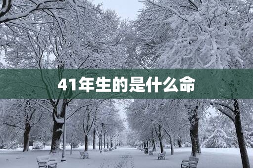 41年生的是什么命