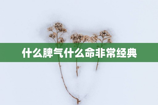 什么脾气什么命非常经典