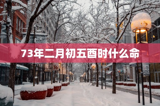 73年二月初五酉时什么命