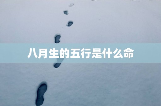 八月生的五行是什么命