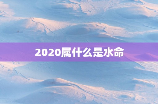 2025属什么是水命
