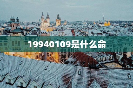 19940109是什么命