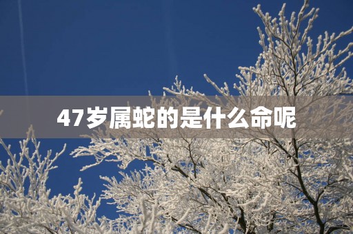 47岁属蛇的是什么命呢
