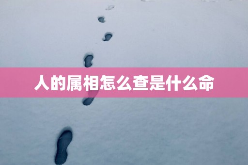 人的属相怎么查是什么命