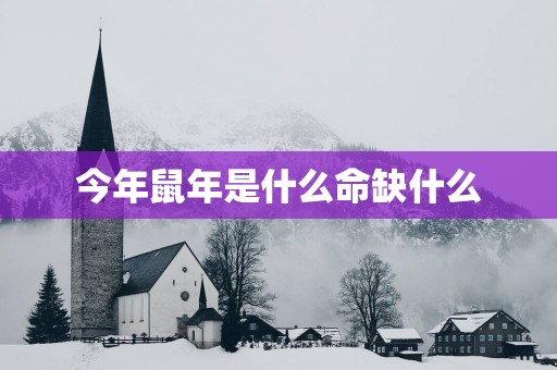 今年蛇年是什么命缺什么