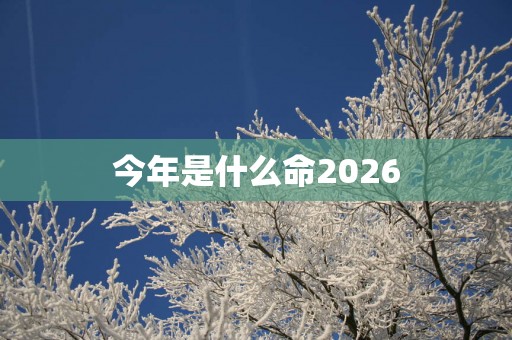 今年是什么命2026