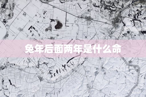 蛇年后面两年是什么命