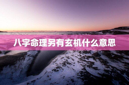 八字命理另有玄机什么意思