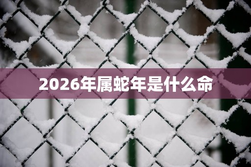 2026年属蛇年是什么命