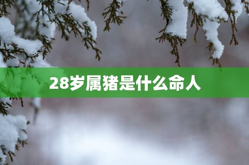 28岁属猪是什么命人