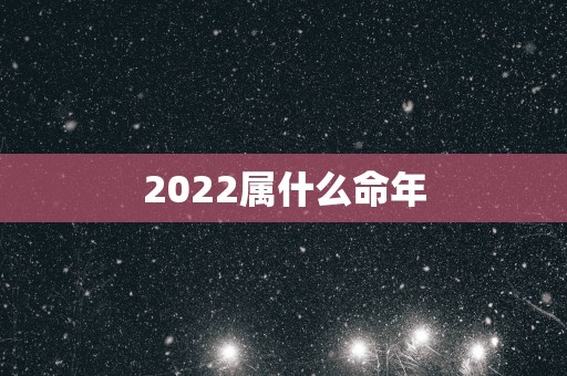 2025属什么命年