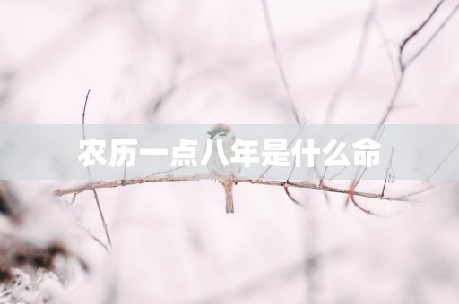 农历一点八年是什么命