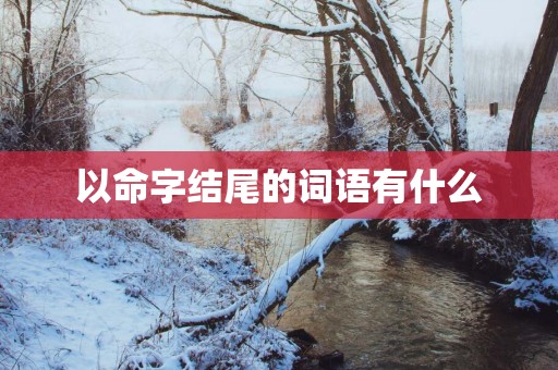 以命字结尾的词语有什么