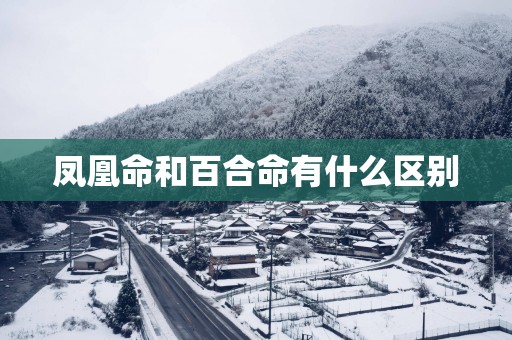 凤凰命和百合命有什么区别