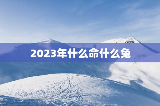 2025年什么命什么兔