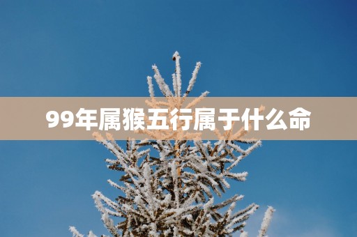 99年属猴五行属于什么命