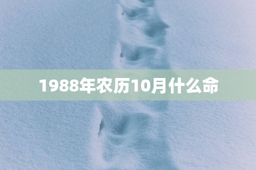 1988年农历10月什么命