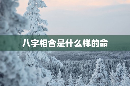 八字相合是什么样的命