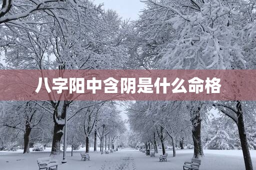 八字阳中含阴是什么命格