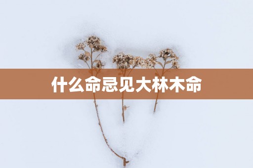 什么命忌见大林木命