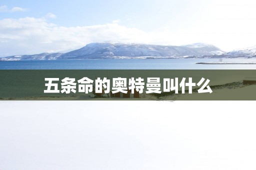 五条命的奥特曼叫什么