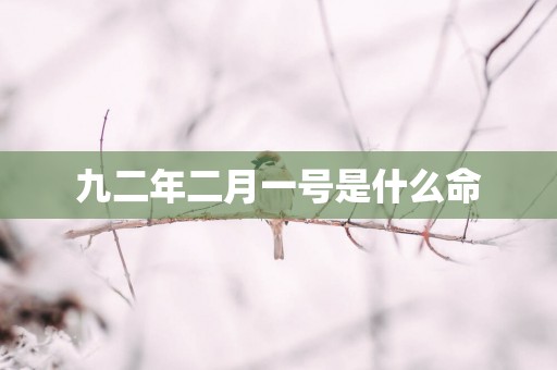 九二年二月一号是什么命