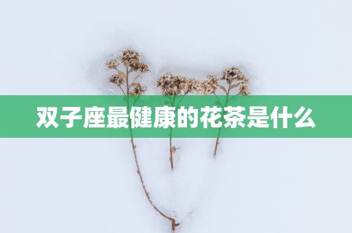 双子座最健康的花茶是什么
