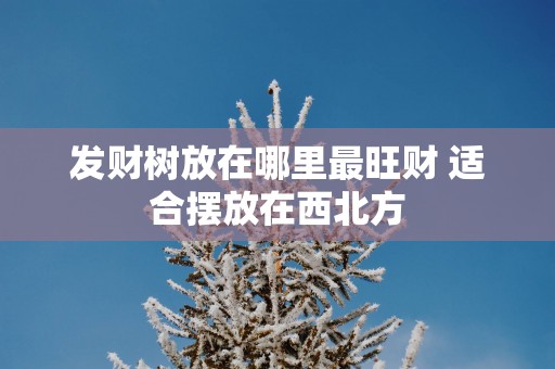 发财树放在哪里最旺财 适合摆放在西北方