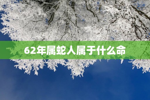 62年属蛇人属于什么命